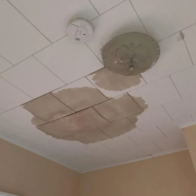 Ceiling Water Damage Repair in Culloden, WV