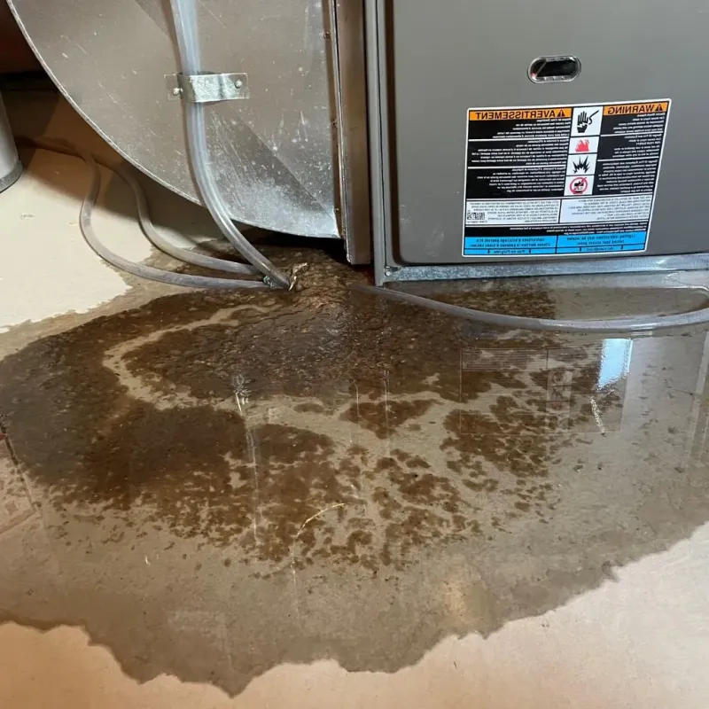 Pipe Burst and Leak Restoration in Culloden, WV