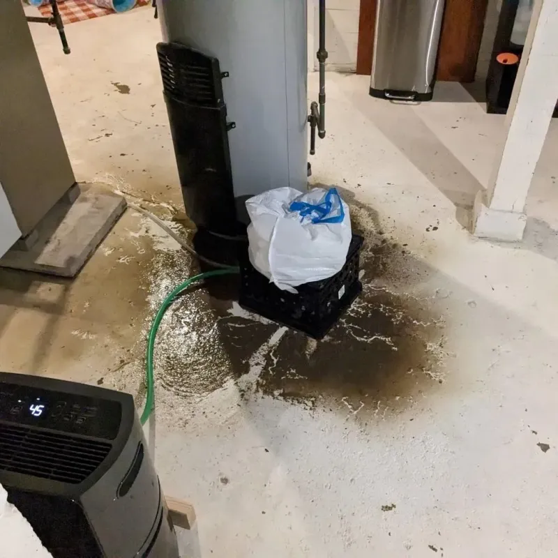 Sewage Backup Cleanup Service in Culloden, WV